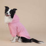 XL Grey Cute Dog Hoodie with Adjustable Drawstring - Available in Various Sizes - Front View
