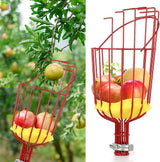 Fruit picking tool with telescopic pole - stainless steel fruit picking pole, high altitude tree fruit picking tool 2.4m - Front View