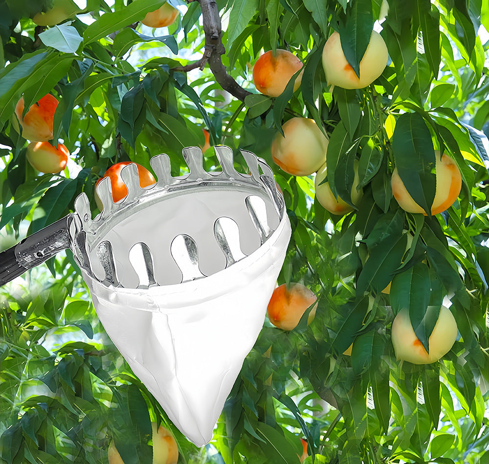 Telescoping Fruit Picker - Apple, Peach, Persimmon Harvesting Tool with Collection Bag, High Reach Fruit Catcher 2.4m