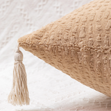 Jewel Orchid Set of 2 Textured Velvet Throw Pillow Covers with Tassels - Decorative Square Cushions 45*45cm - Top-Down View