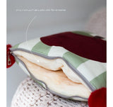 Red Apple Pattern Premium Plush Throw Pillow Blanket Combo ??Versatile Sofa Cushion for Home and Car Use, Ideal for Naps and Lounging