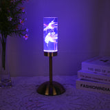 Daisy Eternal Flower Acrylic Table Lamp - Color-Changing LED, USB Rechargeable, Touch Control - Front View