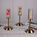 Dandelion Grass Eternal Flower Acrylic Table Lamp - Color-Changing LED, USB Rechargeable, Touch Control - 45-Degree Angle
