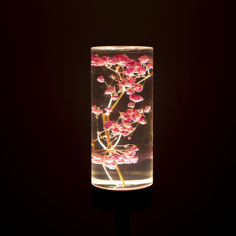 Gypsophila Paniculata Eternal Flower Acrylic Table Lamp - Color-Changing LED, USB Rechargeable, Touch Control