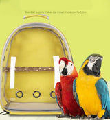 Grey Stylish Transparent PVC Pet Carrier Backpack - Large Capacity, Multi-Use for Birds & Cats(Including Wooden Stick) - Close-Up Angle