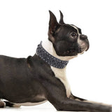 Size L Black 1 pack Stylish PU Leather Dog Collar with Spikes - Adjustable, Durable & Comfortable for Medium to Large Breeds