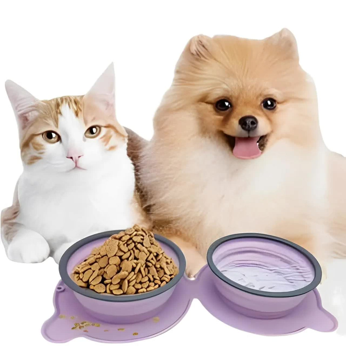 Blue Portable Collapsible Pet Bowl Set - Food-Grade Silicone Double Bowl for Dogs & Cats, Anti-Slip