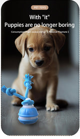 Blue 2-pcs Interactive Dog Toy - Self-Moving Ball with Rope, Boredom Buster - Top-Down View