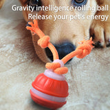 Orange 2-pcs Interactive Dog Toy - Self-Moving Ball with Rope, Boredom Buster (With Bird Calls) - Front View