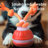 Orange 2-pcs Interactive Dog Toy - Self-Moving Ball with Rope, Boredom Buster (With Bird Calls) - Side View