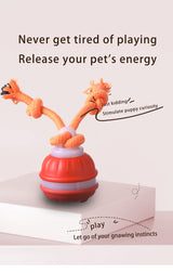 Orange 2-pcs Interactive Dog Toy - Self-Moving Ball with Rope, Boredom Buster (With Bird Calls) - Rear View