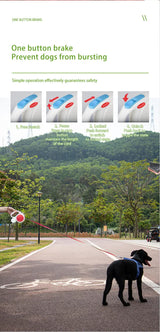 Dark blue 5M Retractable Dog Leash - With Small Box, Suitable For Small And Medium Dogs - Close-Up Angle