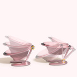 Pink Foldable Elevated Pet Bowl Set - Tilted Ergonomic Cat Feeder with Aluminum Stand & Silicone Bowl