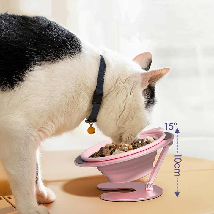 Green Foldable Elevated Pet Bowl Set - Tilted Ergonomic Cat Feeder with Aluminum Stand & Silicone Bowl