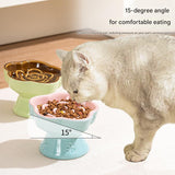 Blue and Pink Ceramic Slow Feeder Pet Bowl for Cats and Small Dogs - Anti-Choke Elevated Design with 15-Degree Tilted Rim - 45-Degree Angle