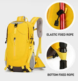 Black Lightweight 30L Hiking Backpack - Water-Resistant Outdoor Daypack for Trekking & Travel - Rear View