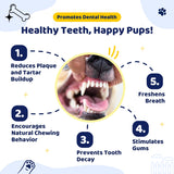 Durable Knot Rope and Ball Dog Toy - Interactive Chew and Tug Play for Pets - Side View