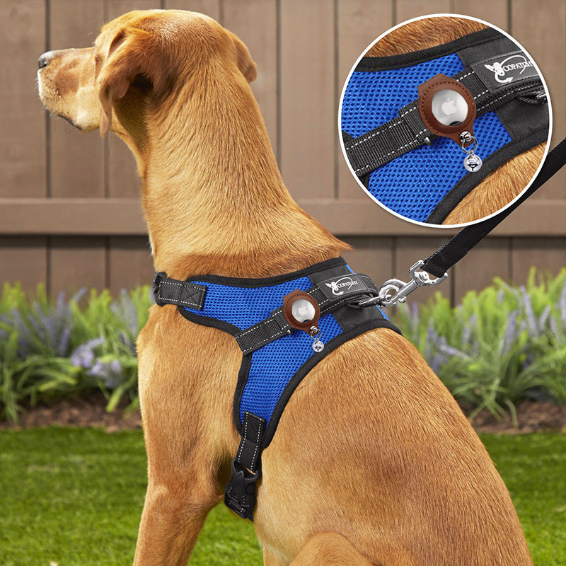 S Blue-green Secure Nylon Dog Collar with Built-in Apple AirTag (not included) Holder Case - Pet Tracker Accessory