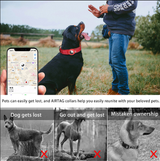 L Orange Secure Nylon Dog Collar with Built-in Apple AirTag (not included) Holder Case - Pet Tracker Accessory - Rear View