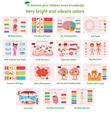 Interactive Human Body Busy Book Set (2 Books) - Educational Quiet Learning Toy for Toddlers - Front View