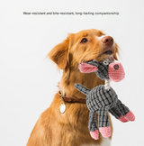 3pcs Brown Goofy Plush Donkey Squeaky Dog Toy - Large Interactive Chew & Cuddle Buddy - Front View