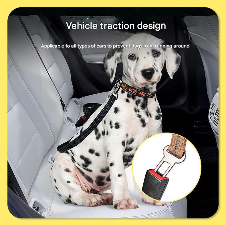 Orange Shock Absorbing Dog Leash with Reflective Stitching - 135cm for Small to Large Dogs