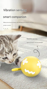 Rechargeable Interactive Cat Toy - Self-Rolling Ball with LED Light,Standard Edition Blue - Top-Down View