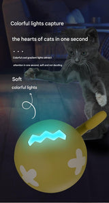 Rechargeable Interactive Cat Toy - Self-Rolling Ball with LED Light,Standard Edition Blue - Rear View