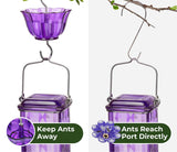 Elegant Hanging Hummingbird Feeder - Decorative Glass Nectar Bottle with Ant Moat, 6 Feeding Ports(Green) - 45-Degree Angle