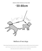 Red Pet Double-Ended Rope + 1.5M Leash - Easy to walk two dogs, tangle-free design - Top-Down View