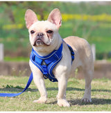 Blue Reflective Mesh Dog Harness and Leash Set - Adjustable No-Pull Vest - S - Side View