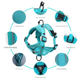 Blue Reflective Mesh Dog Harness and Leash Set - Adjustable No-Pull Vest - S - Top-Down View