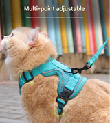 Brown Reflective Mesh Dog Harness and Leash Set - Adjustable No-Pull Vest - M - Rear View