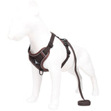 Brown Reflective Mesh Dog Harness and Leash Set - Adjustable No-Pull Vest - L - Front View