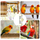 White Automatic Bird Water Feeder Bottle (200ml) - Leakproof No-Drip Dispenser for Parrots