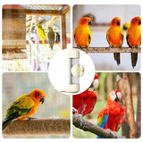 White Automatic Bird Water Feeder Bottle (200ml) - Leakproof No-Drip Dispenser for Parrots - Rear View