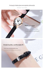 Rose shell white plate leucorrhea Delicate Women's Watch - 20mm Roman Numeral Dial, Leather Strap