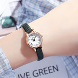 Rose Shell White Plate Green Belt Delicate Women's Watch - 20mm Roman Numeral Dial, Leather Strap - Front View