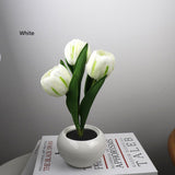 White Charging model Artificial Tulip Bouquet LED Light - Ceramic Pot Desk Lamp - Front View