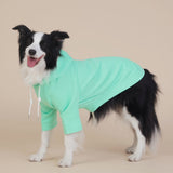 Green Classic Dog Sweatshirt with Hood & Drawstrings - For Large Dogs (Size : XL) - Front View
