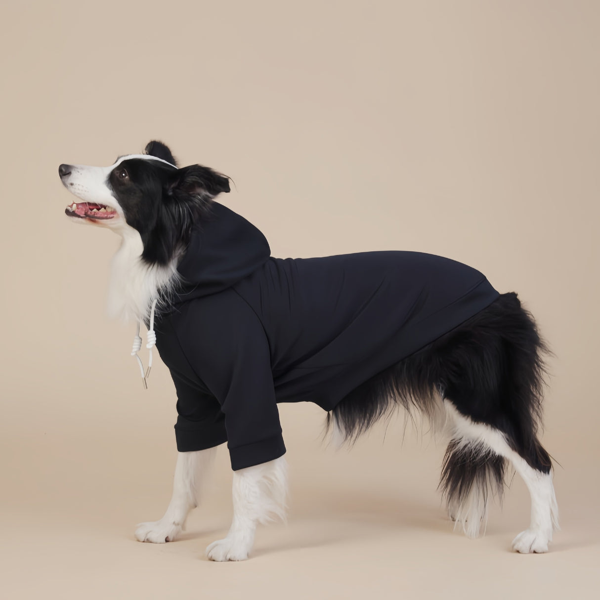 Black Classic Dog Sweatshirt with Hood & Drawstrings - For Large Dogs (Size : 4XL)
