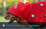Christmas Dog Costume - Festive Hooded Cape & Green Jumpsuit Outfit (Size : M) - Close-Up Angle