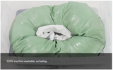 Green Adjustable Soft Elizabethan Collar for Pets - Comfortable Recovery Aid - XXL - Rear View