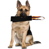 Brown Premium Full-Grain Leather Dog Training Tug - Interactive Bite Rag with Strong Loop Handle for Play & Drive Building - Close-Up Angle
