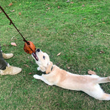 Red Durable Leather Dog Training Ball with Loop Handle - Interactive Bite & Tug Toy for Playful Pups - Rear View