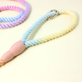 Colorful Vibrant Rainbow Ombre Rope Dog Leash - Durable Nylon P-Chain Slip Lead for Small & Medium Breeds - Front View
