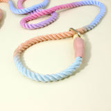 Colorful Vibrant Rainbow Ombre Rope Dog Leash - Durable Nylon P-Chain Slip Lead for Small & Medium Breeds - Side View