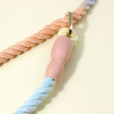 Colorful Vibrant Rainbow Ombre Rope Dog Leash - Durable Nylon P-Chain Slip Lead for Small & Medium Breeds - Top-Down View