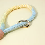 Colorful Vibrant Rainbow Ombre Rope Dog Leash - Durable Nylon P-Chain Slip Lead for Small & Medium Breeds - 45-Degree Angle