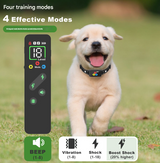 Black Rechargeable Remote Dog Training Collar - Waterproof E-Collar with Beep, Vibration & Shock Modes - Front View